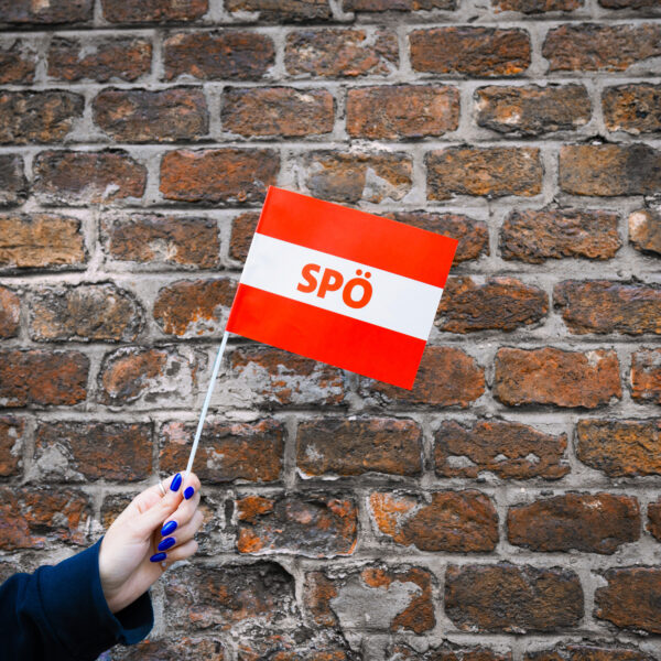 Papierfähnchen (50 Stk.)