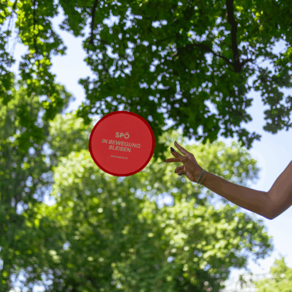 Frisbee