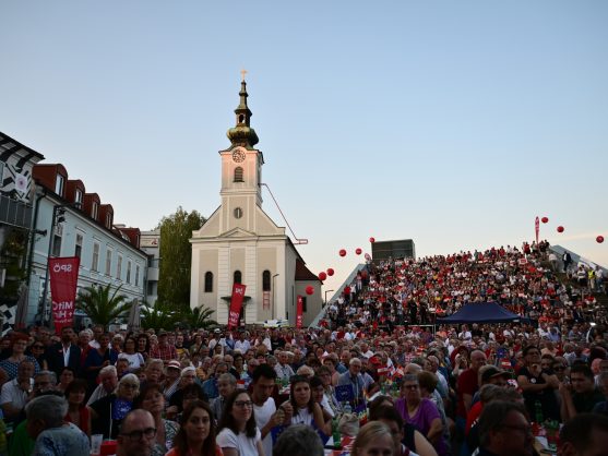 Bild: SPÖ-Wahlkampfauftakt Linz